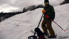 滑雪时弄掉iPhone怎么找？用金属探测器