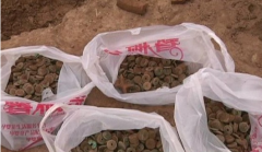 阿城俩村民买金属探测仪 稻田里挖出＂文物＂