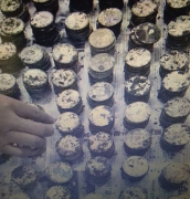 老屋重建时寻宝获得银元