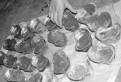 胶州李某寻宝挖出65枚大元宝