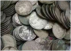 陈某在野外找到大量的银元